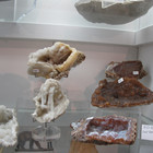Fossilized coral.