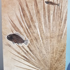 Palm Frond ond Fossil Fish